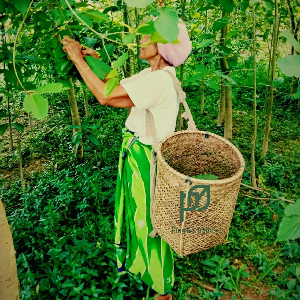 Our Farmer-image